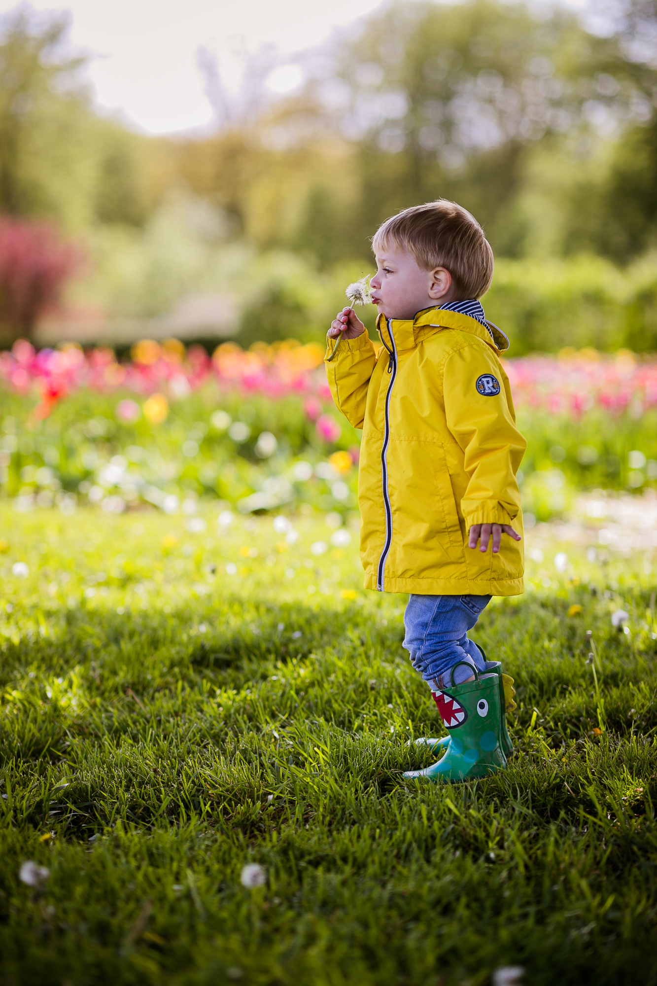 Export x3 1DX28273 Familienfotoshooting 2019 Hefti